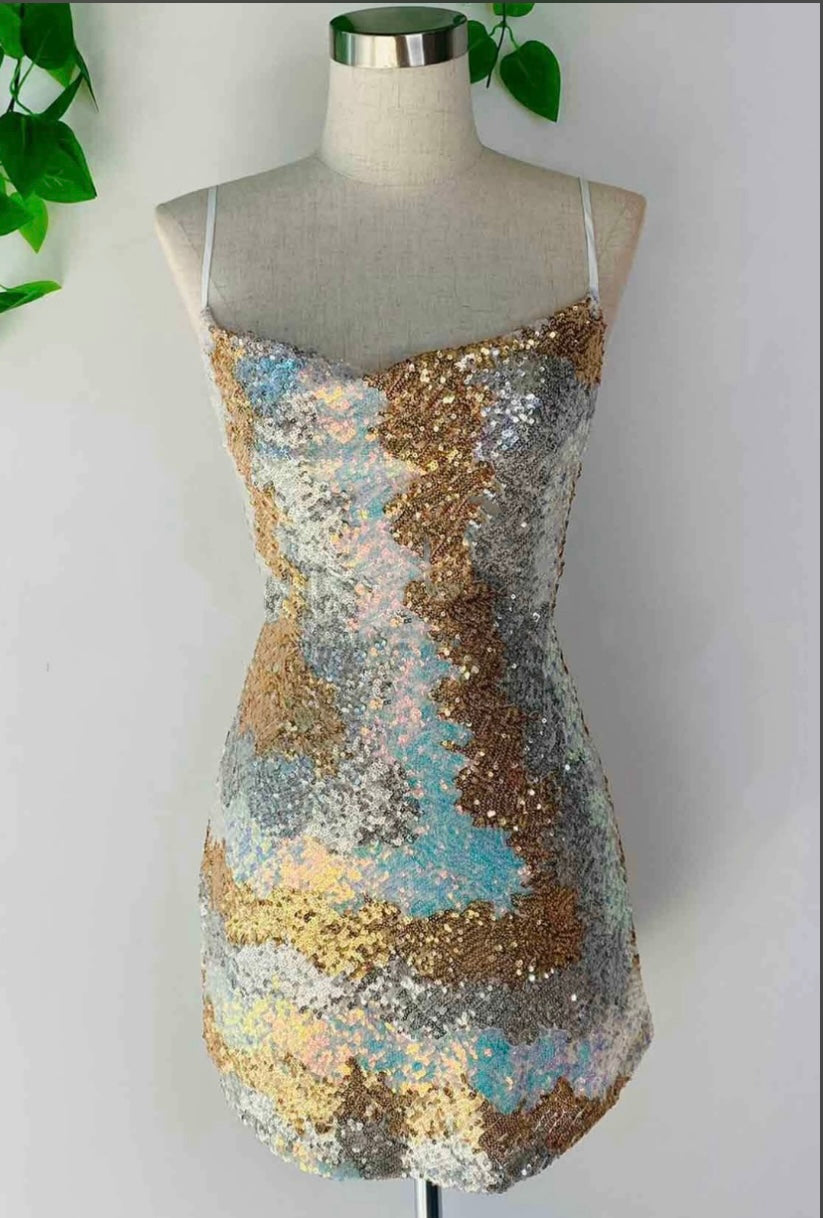 3 Color Sequin Dress